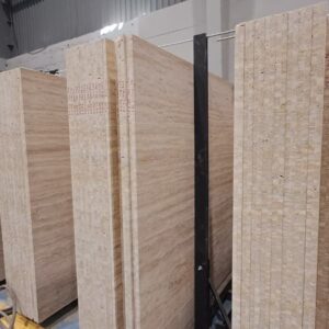 WhatsApp Image 2025-12-07 at 8.29.23 PM